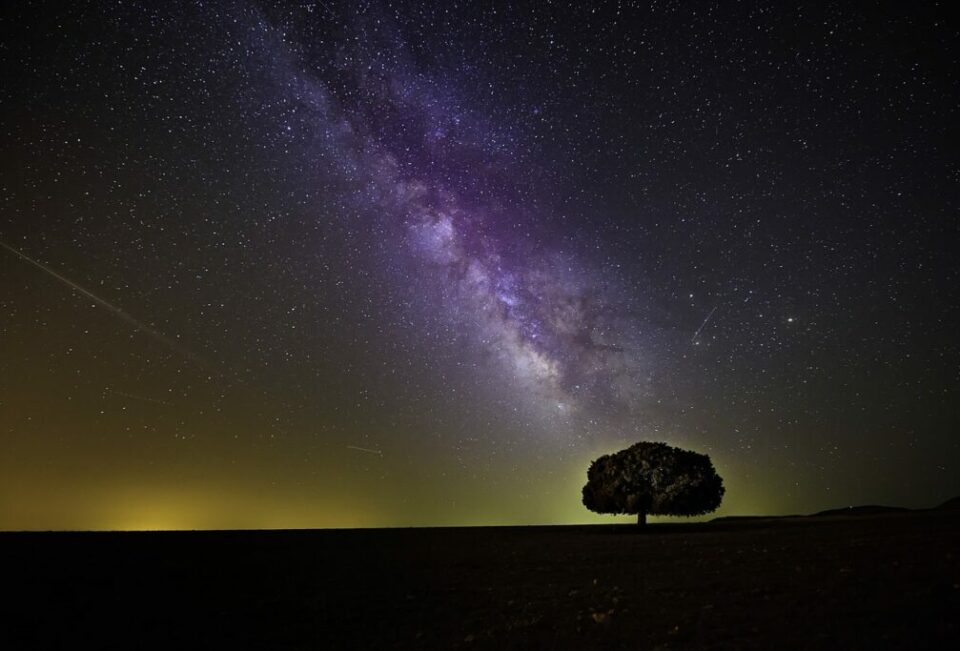 BAJO EL CIELO DEL STORYTELLING