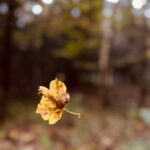 ¿De verdad quieres transformar tu marca?