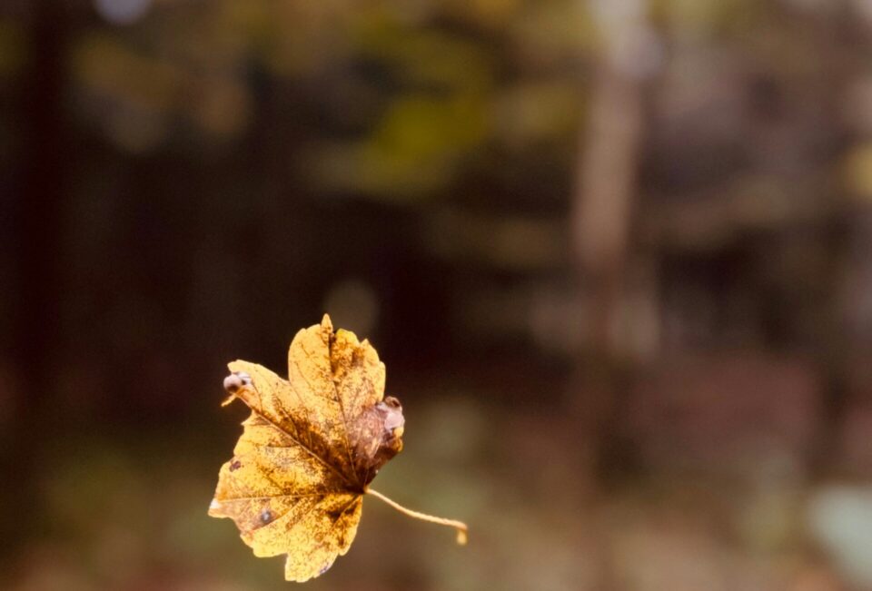 ¿De verdad quieres transformar tu marca?