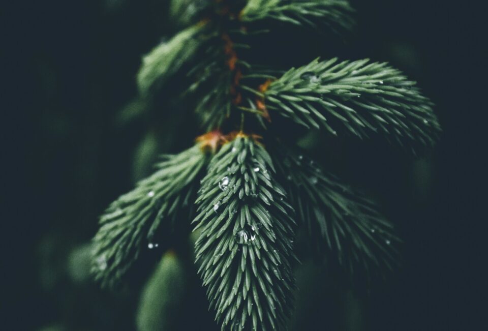 La IA también celebra la Navidad